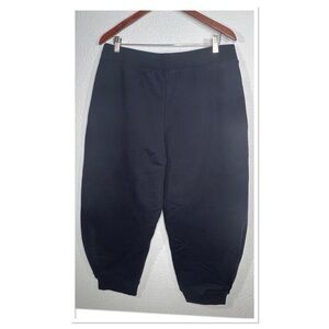 Tibi Navy Relaxed Cropped Jogger Pants